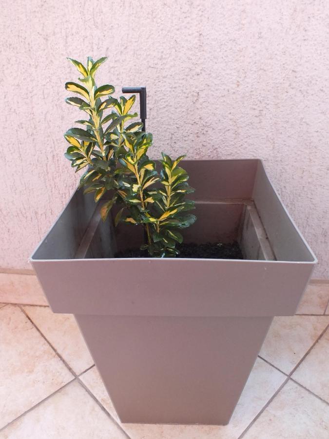 Apartment Temple Podgorica Eksteriør bilde